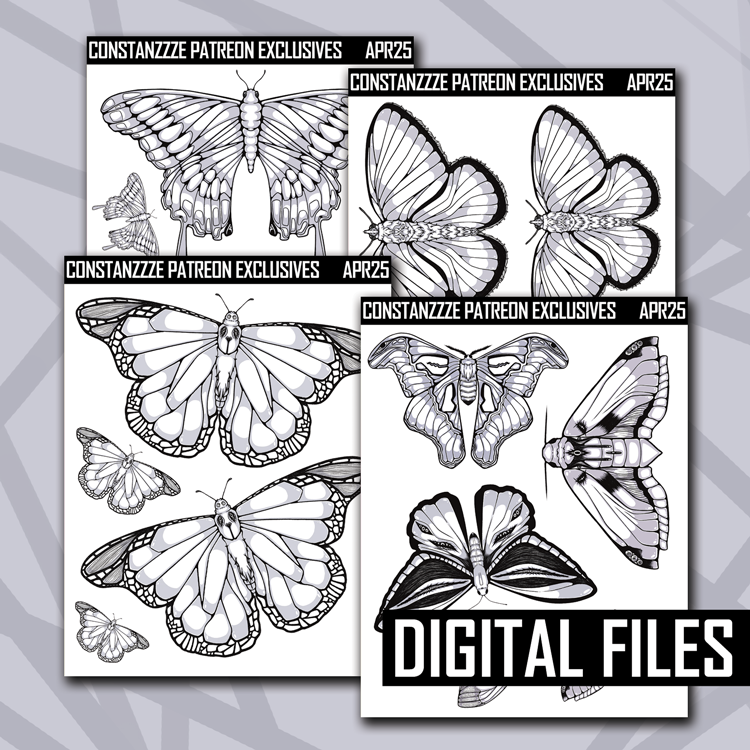 Digital White Moths + Butterflies Deco Sheet Bundle